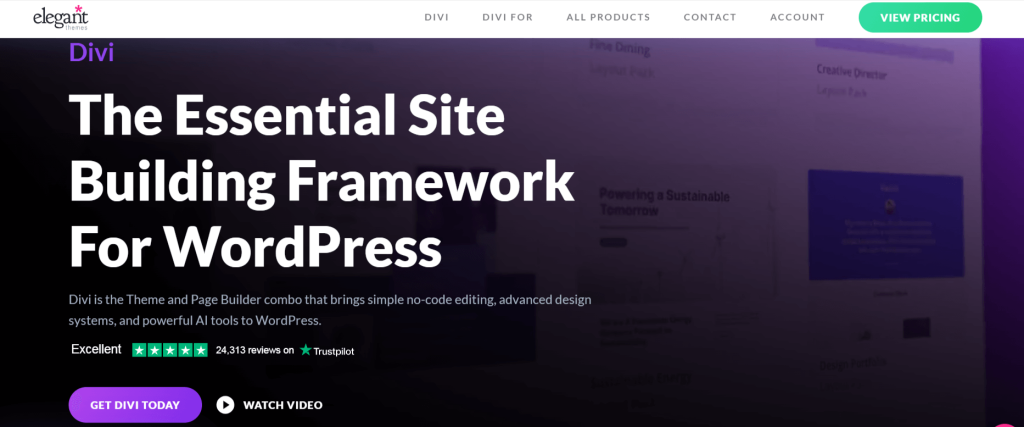 Homepage of Divi Builder
